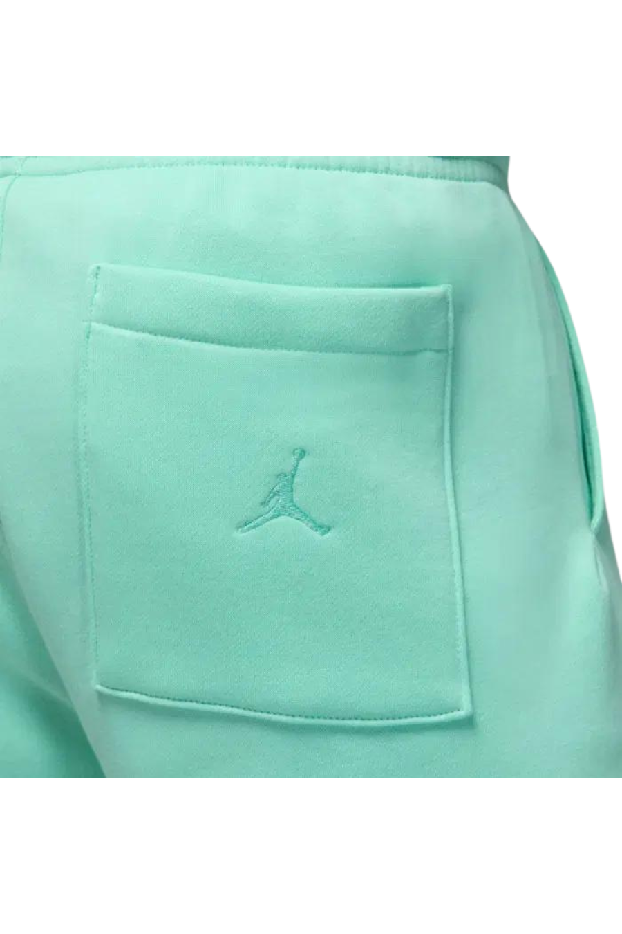 Short Jordan Brooklyn Fleece emerald rise/white - Butterfly Sneakers