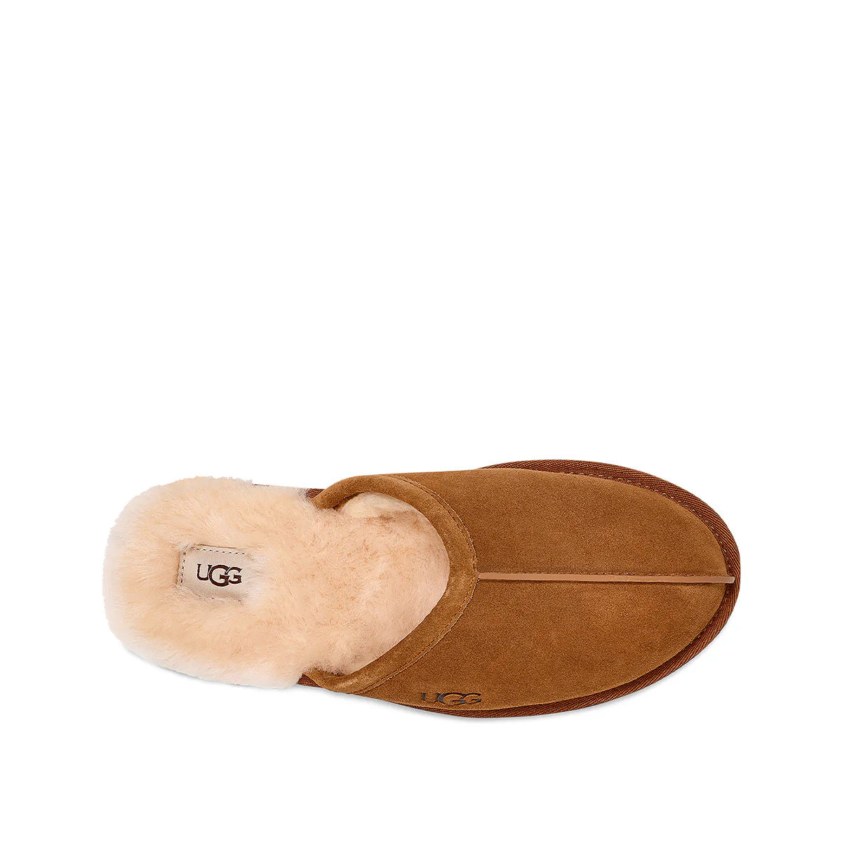 UGG כפכפי סקאף חום