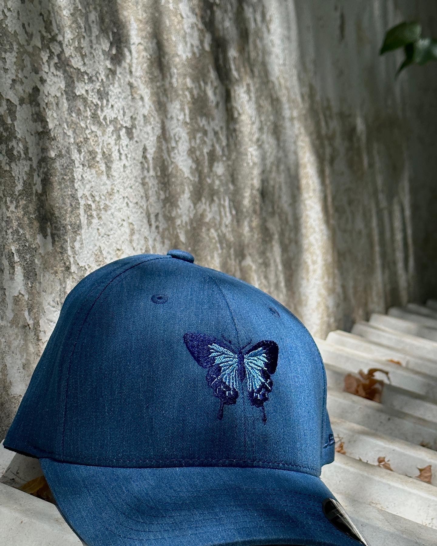 Blue Butterfly