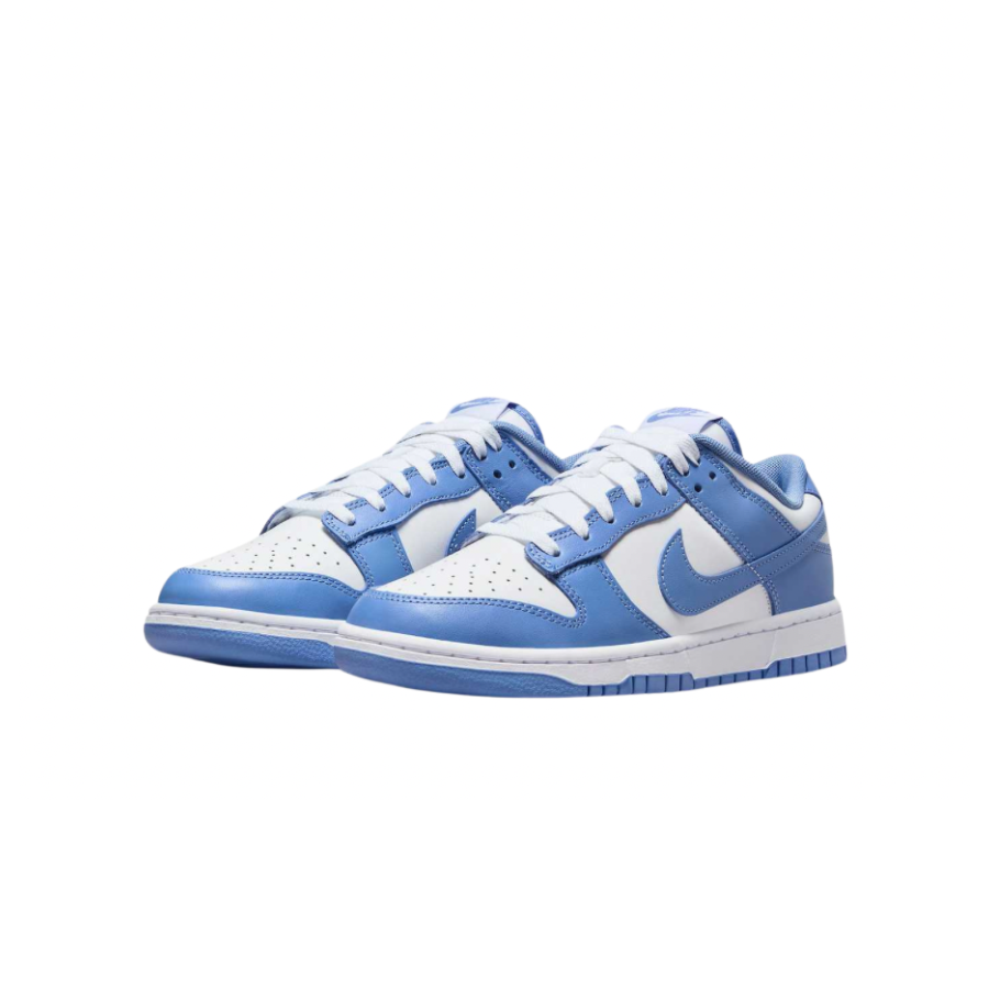 Nike Dunk Low Retro Polar Blue