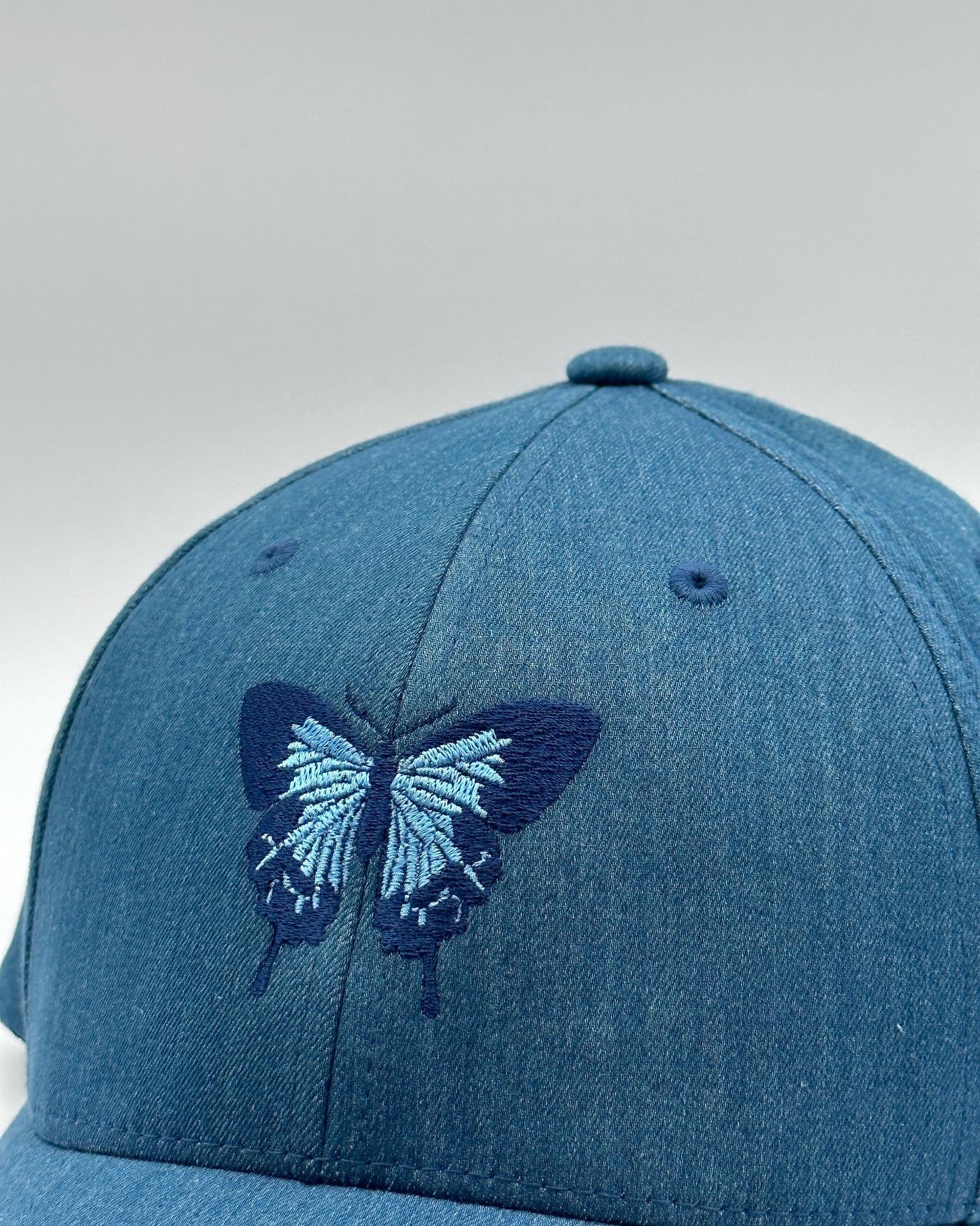 Blue Butterfly