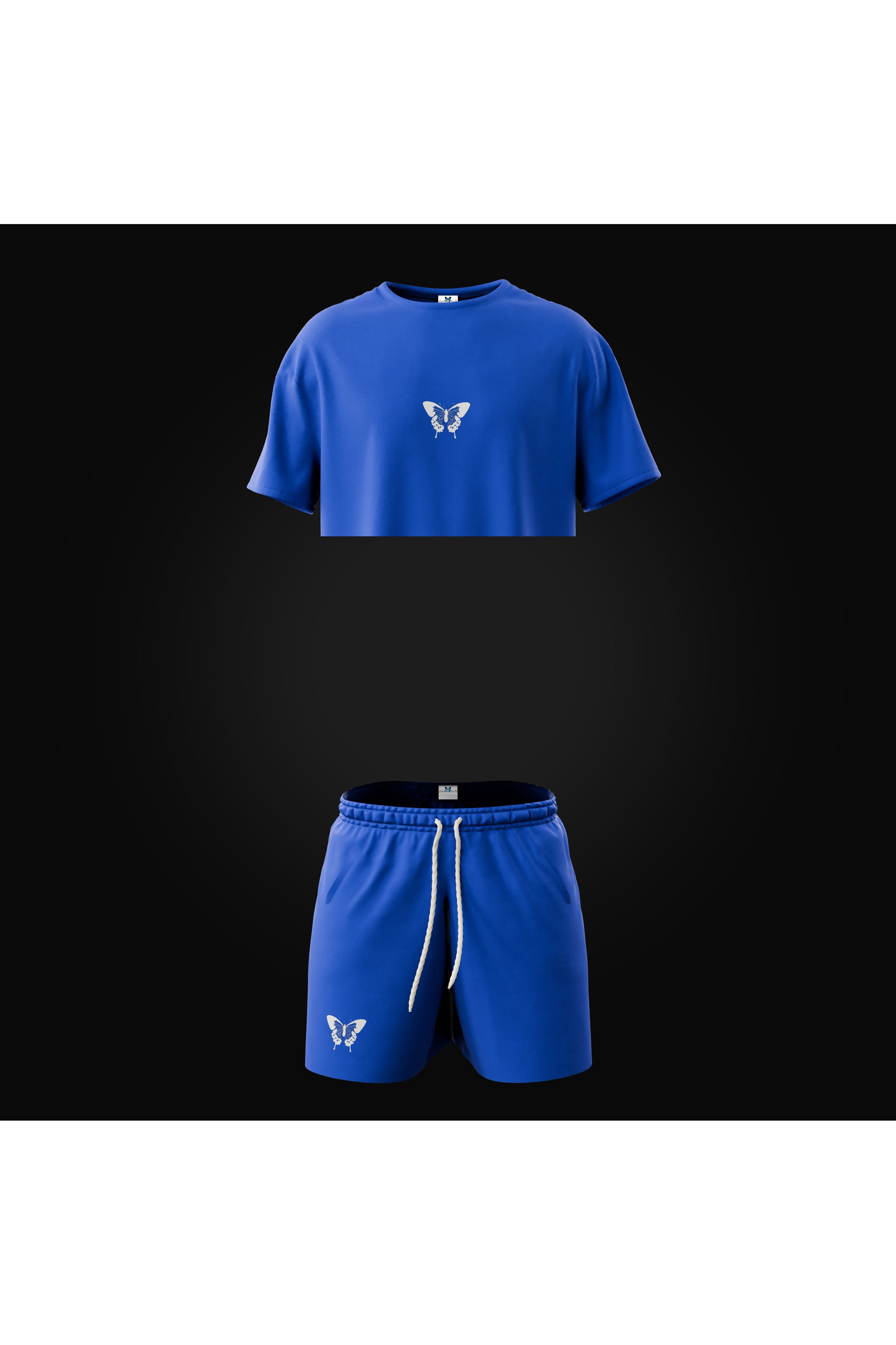 W THE SIX - 5/6 - Blue Morph - Crop T shirt - Butterfly Sneakers