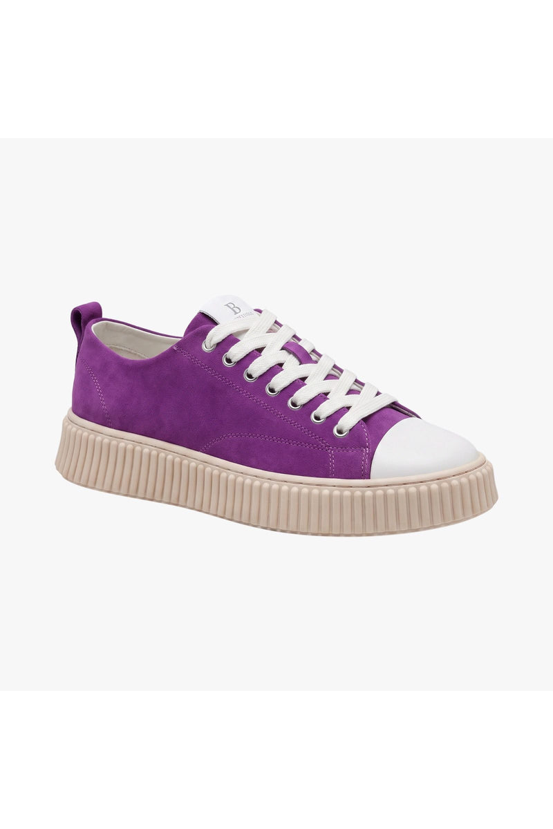 סניקרס Butterfly Low B 22 זמש