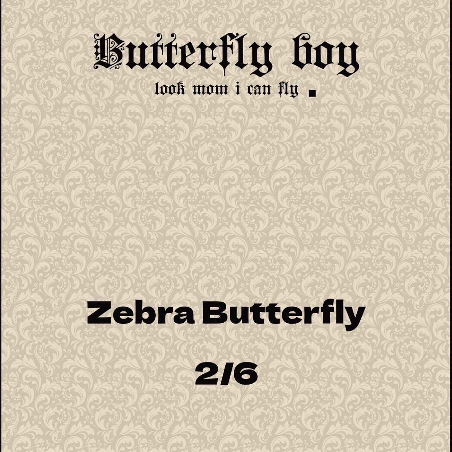 THE SIX - 2/6 - Zebra butterfly - Sweatshorts